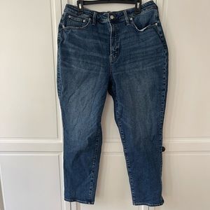 Madewell Curvy Perfect Vintage Jean